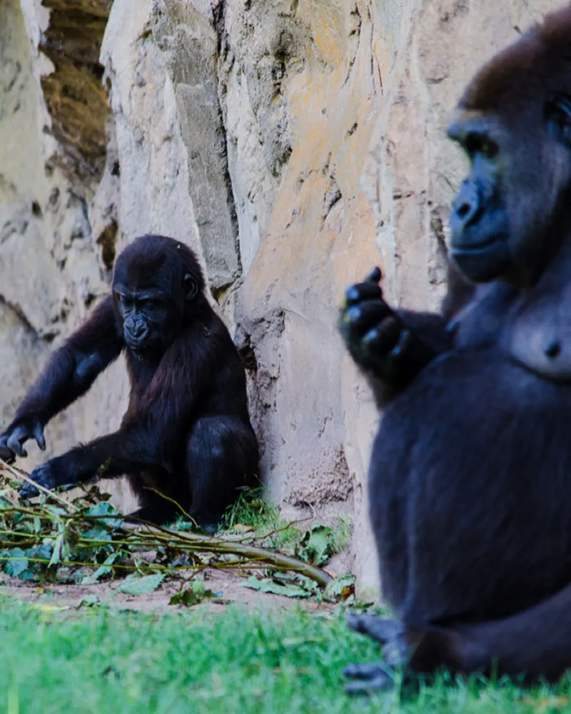 viajes a medida a africa viajesprivados.es
