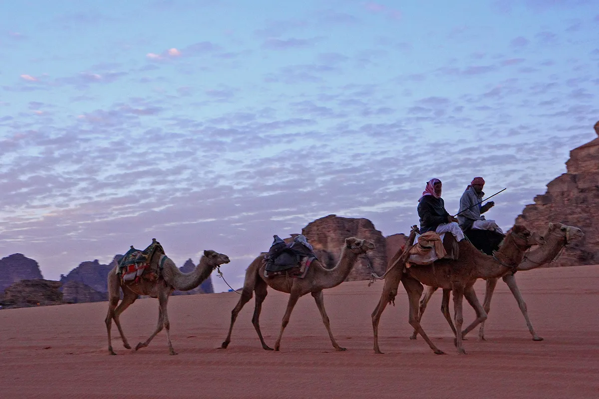 viajes personalizados a jordania viajesprivados.es