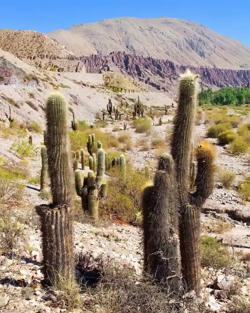 viajes a medida a argentina viajesprivados.es