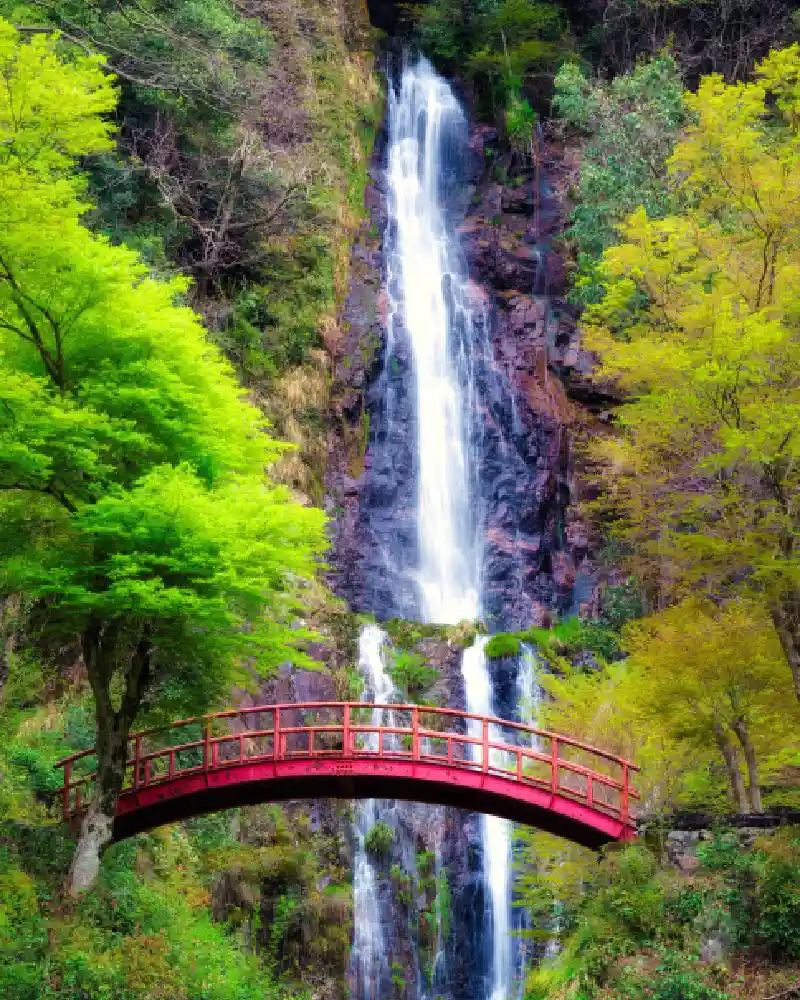 viajes a medida a japon