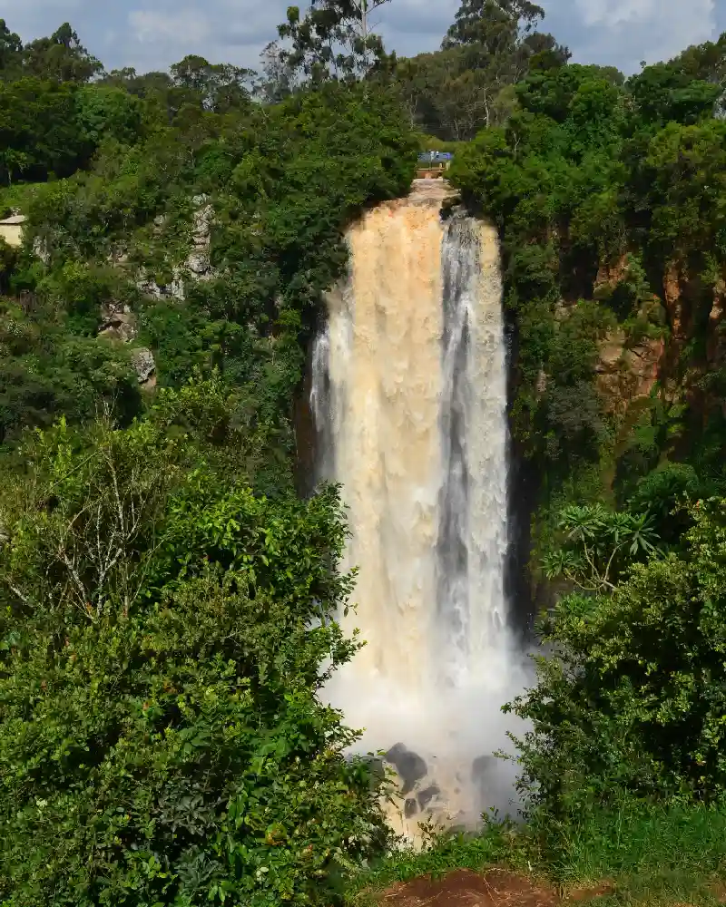 safaris personalizados viajesprivados.es