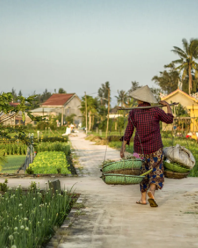 viajes a medida a asia