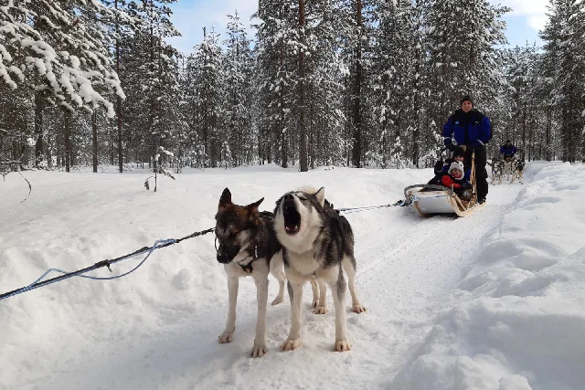 viajes a medida a laponia