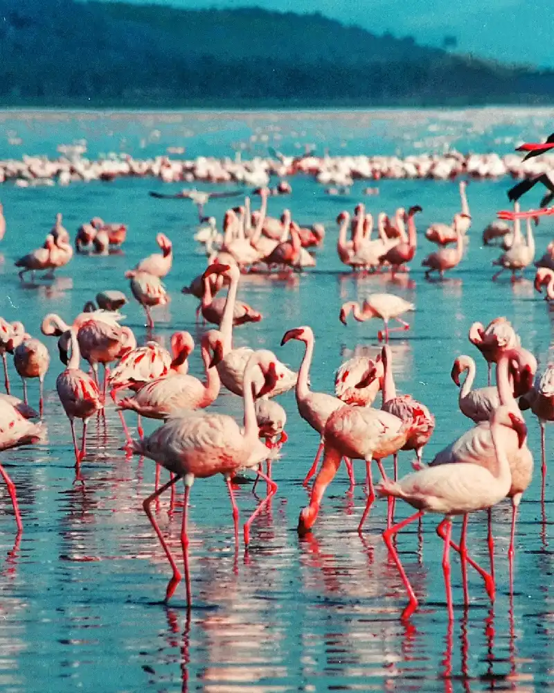 viajes a medida a africa