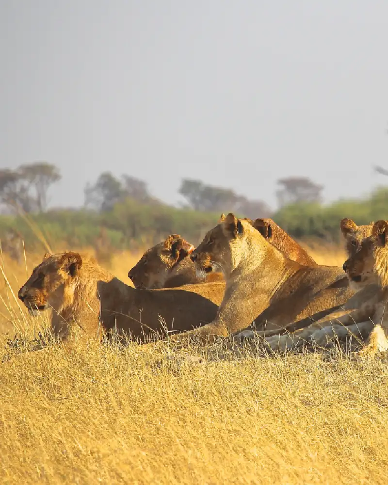 viajes a medida a africa