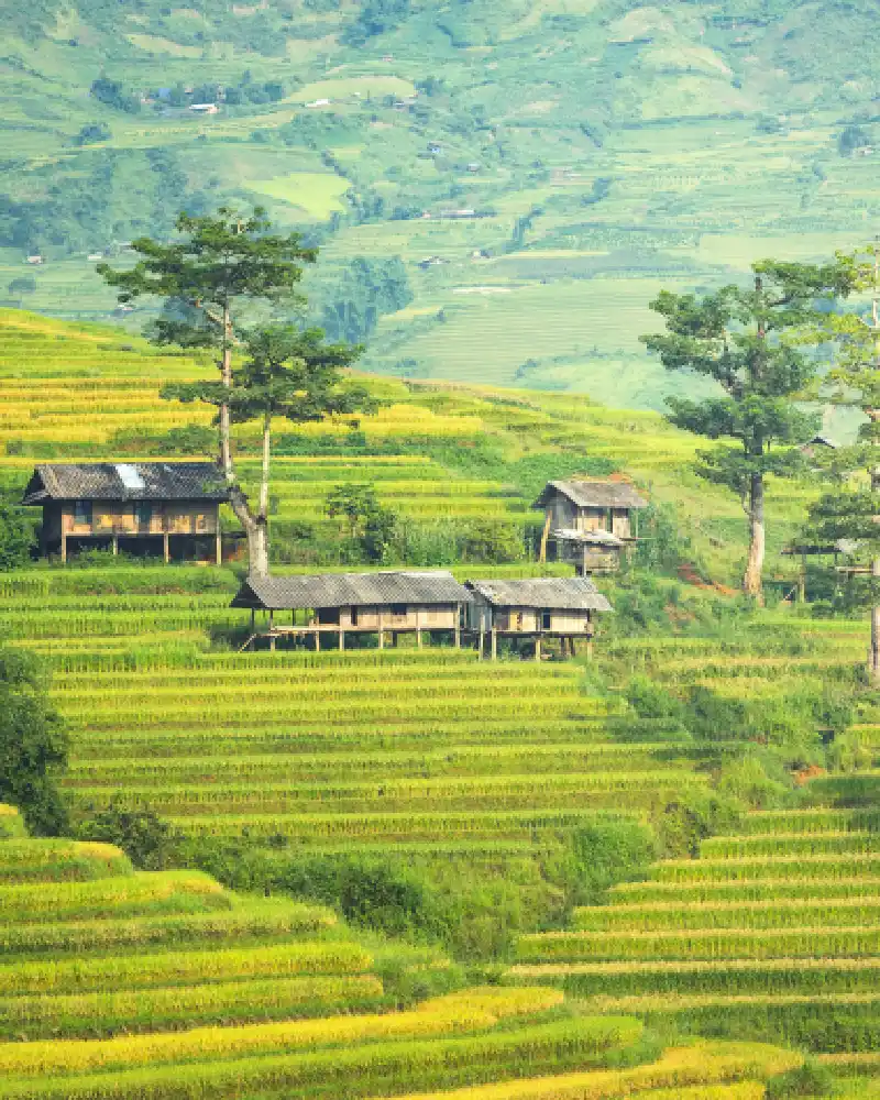 viajes a medida a vietnam y camboya