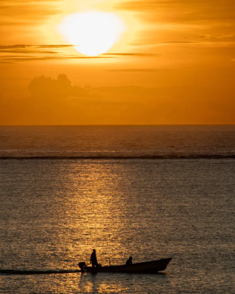 safaris personalizados viajesprivados.es