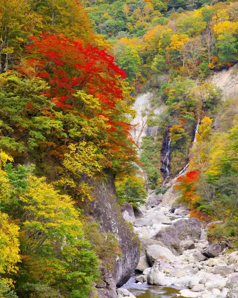 viajes a medida a japon