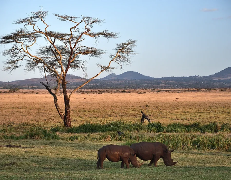 viajes a medida a kenia viajesprivados.es