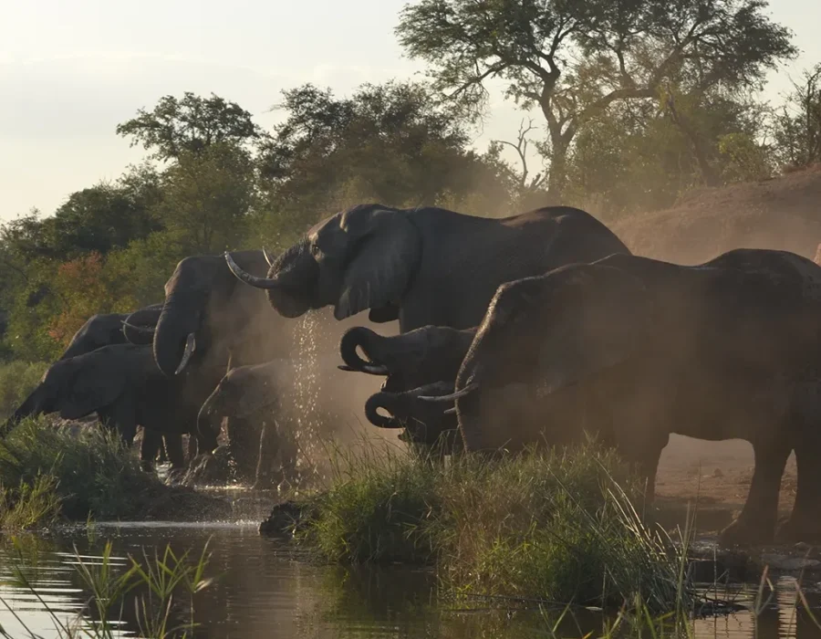 viajes a medida a sudafrica viajesprivados.es