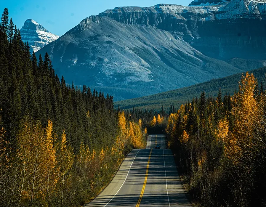 imagen-usa-4 viajes a medida a estados unidos viajesprivados.es